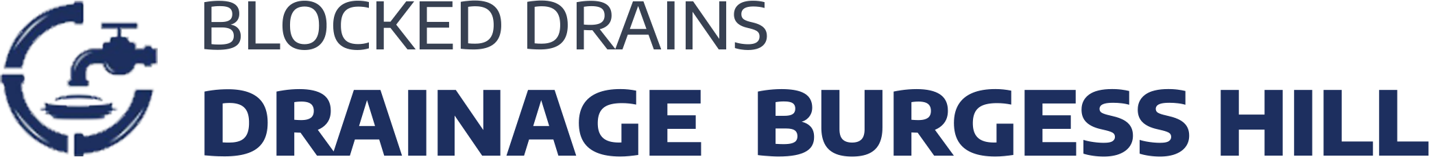 website logo